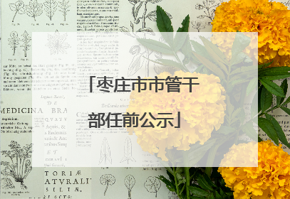 枣庄市市管干部任前公示