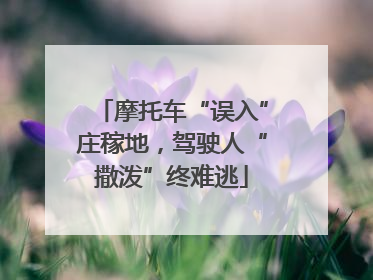 摩托车“误入”庄稼地，驾驶人“撒泼”终难逃