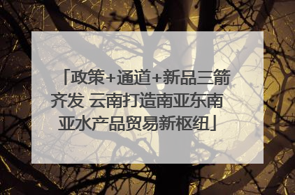 政策+通道+新品三箭齐发 云南打造南亚东南亚水产品贸易新枢纽