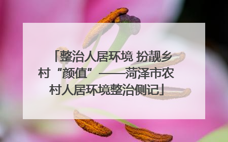 整治人居环境 扮靓乡村“颜值”——菏泽市农村人居环境整治侧记