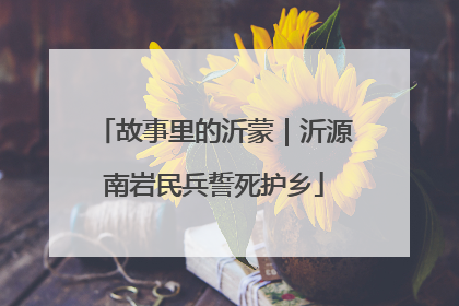 故事里的沂蒙｜沂源南岩民兵誓死护乡