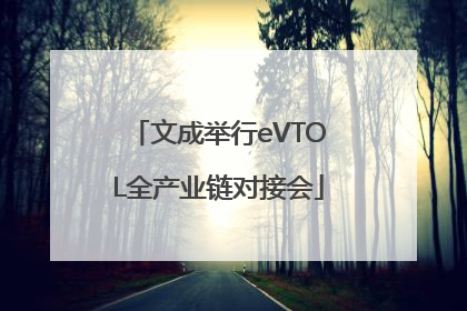 文成举行eVTOL全产业链对接会