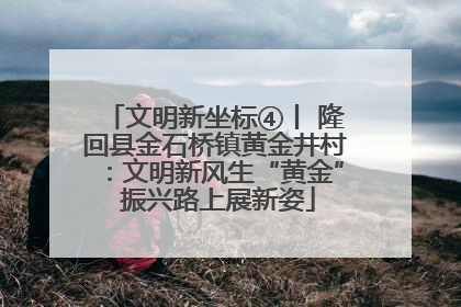 文明新坐标④丨 隆回县金石桥镇黄金井村：文明新风生“黄金” 振兴路上展新姿