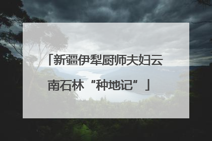 新疆伊犁厨师夫妇云南石林“种地记”