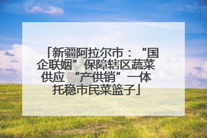 新疆阿拉尔市：“国企联姻”保障辖区蔬菜供应 “产供销”一体托稳市民菜篮子