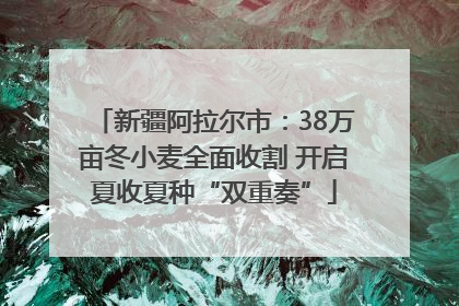 新疆阿拉尔市：38万亩冬小麦全面收割 开启夏收夏种“双重奏”