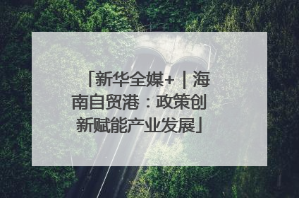 新华全媒+｜海南自贸港：政策创新赋能产业发展