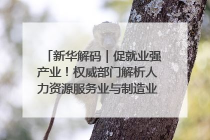 新华解码｜促就业强产业！权威部门解析人力资源服务业与制造业融合发展试点