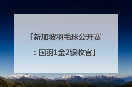 新加坡羽毛球公开赛：国羽1金2银收官