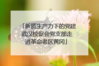 新质生产力下的党建 武汉校促会党支部走进革命老区黄冈