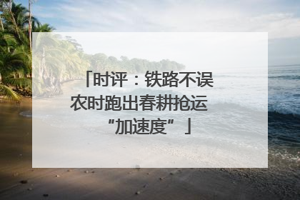 时评：铁路不误农时跑出春耕抢运“加速度”