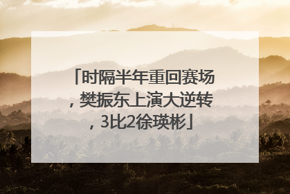时隔半年重回赛场，樊振东上演大逆转，3比2徐瑛彬