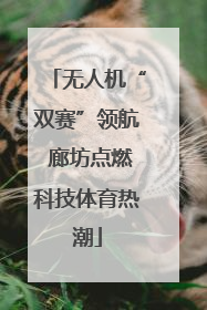 无人机“双赛”领航 廊坊点燃科技体育热潮