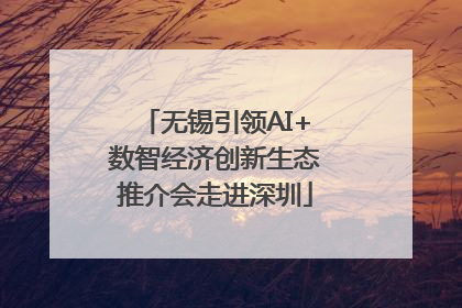 无锡引领AI+数智经济创新生态推介会走进深圳