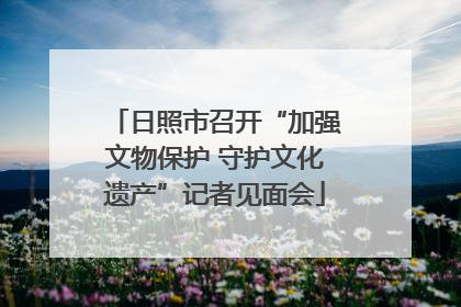 日照市召开“加强文物保护 守护文化遗产”记者见面会