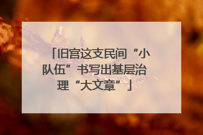旧宫这支民间“小队伍”书写出基层治理“大文章”