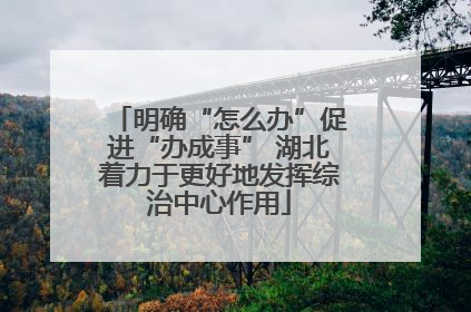 明确“怎么办”促进“办成事” 湖北着力于更好地发挥综治中心作用