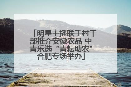 明星主播联手村干部推介安徽农品 中青乐选“青耘助农”合肥专场举办