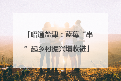 昭通盐津：蓝莓“串”起乡村振兴增收链