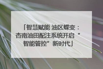 智慧赋能 油区蝶变：杏南油田配注系统开启“智能管控”新时代