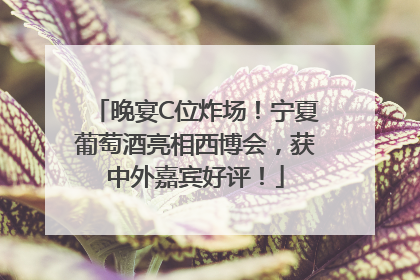 晚宴C位炸场！宁夏葡萄酒亮相西博会，获中外嘉宾好评！