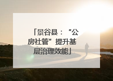 景谷县：“公房社管”提升基层治理效能