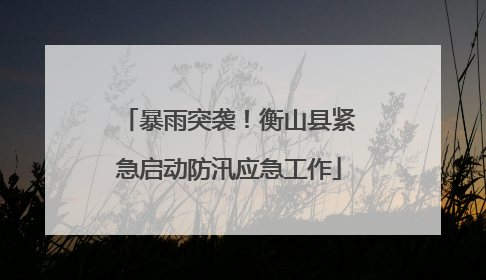 暴雨突袭！衡山县紧急启动防汛应急工作