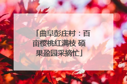 曲阜彭庄村：百亩樱桃红满枝 硕果盈园采摘忙