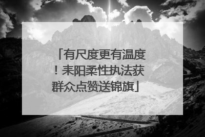 有尺度更有温度！耒阳柔性执法获群众点赞送锦旗