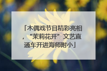 木偶戏节目精彩亮相，“茉莉花开”文艺直通车开进海师附小