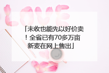 未收也能先以好价卖！全省已有70多万亩新麦在网上售出