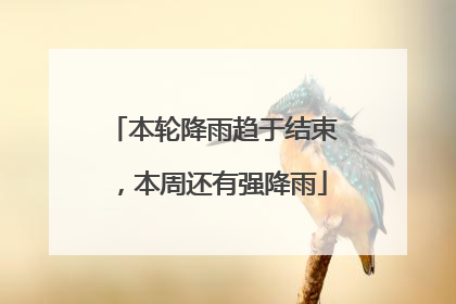 本轮降雨趋于结束，本周还有强降雨