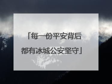 每一份平安背后 都有冰城公安坚守