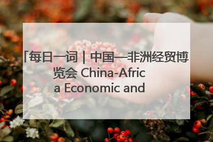 每日一词｜中国—非洲经贸博览会 China-Africa Economic and Trade Expo