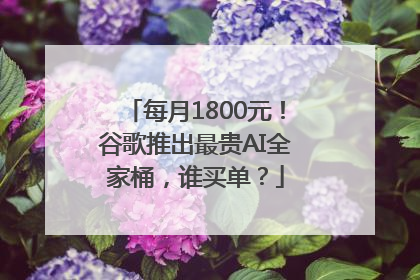 每月1800元！谷歌推出最贵AI全家桶，谁买单？