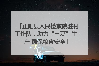 正阳县人民检察院驻村工作队：助力“三夏”生产 确保粮食安全