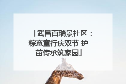 武昌百瑞景社区：粽意童行庆双节 护苗传承筑家园