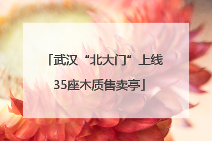 武汉“北大门”上线35座木质售卖亭