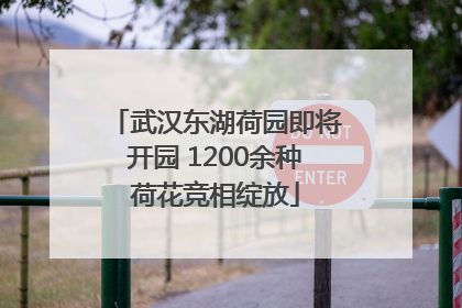 武汉东湖荷园即将开园 1200余种荷花竞相绽放