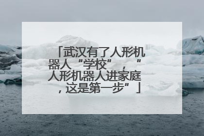 武汉有了人形机器人“学校”，“人形机器人进家庭，这是第一步”