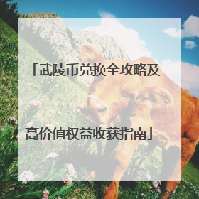武陵币兑换全攻略及高价值权益收获指南