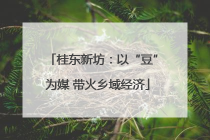桂东新坊：以“豆”为媒 带火乡域经济