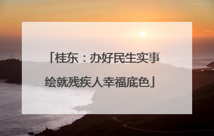 桂东：办好民生实事 绘就残疾人幸福底色