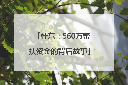 桂东：560万帮扶资金的背后故事