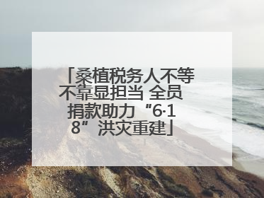 桑植税务人不等不靠显担当 全员捐款助力“6·18”洪灾重建