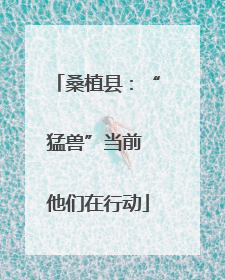 桑植县：“猛兽”当前 他们在行动