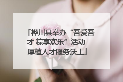 桦川县举办“吾爱吾才 粽享欢乐”活动 厚植人才服务沃土