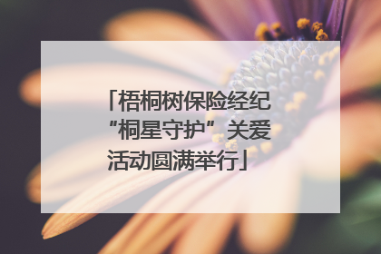 梧桐树保险经纪“桐星守护”关爱活动圆满举行