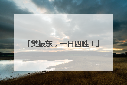 樊振东，一日四胜！