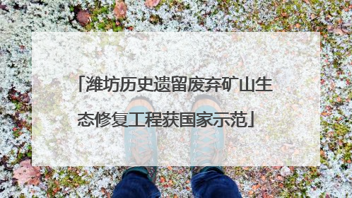 潍坊历史遗留废弃矿山生态修复工程获国家示范